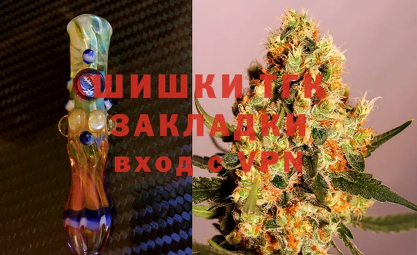 дживик Костерёво