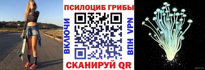Псилоцибиновые грибы прущие грибы Купить Благодарный