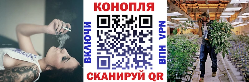 Купить где  Благодарный  МАРИХУАНА OG Kush 